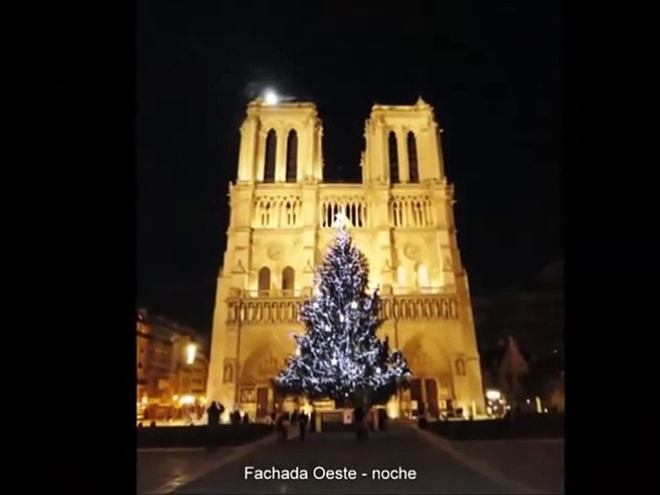 Catedral de Notre Dame   Paris