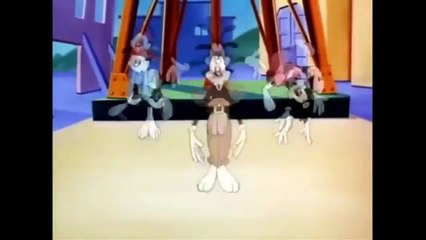 Animaniacs: Cartoon Show REVIEW