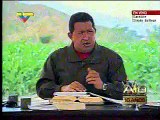 4 Alo Presidente # 335 en tierras recuperadas en el Valle de Aragua  La revolucion agraria en el campo venezolano  Unidad de Produccion Primaria Socialista Comuna Indio Rangel