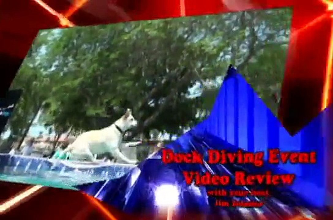 Dog Dock Diving Lake of the Ozarks (Canine Cannonball) Event Review