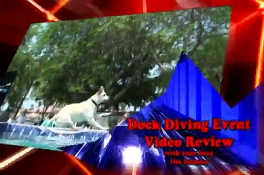 Dog Dock Diving Lake of the Ozarks (Canine Cannonball) Event Review