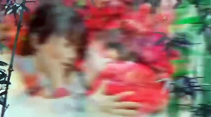 Romance of the Condor Heroes ( 2014 ) OST Ending