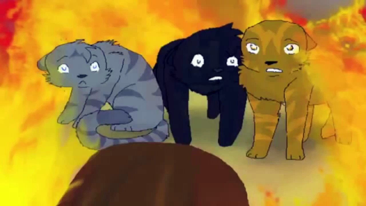 ~Circles~ COMPLETE Warrior Cats MAP