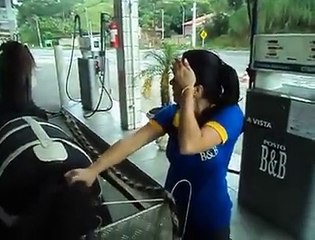 a girl filling inside a horse