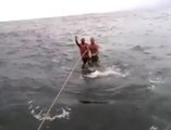 Deux hommes surfent sur le dos d'un requin baleine