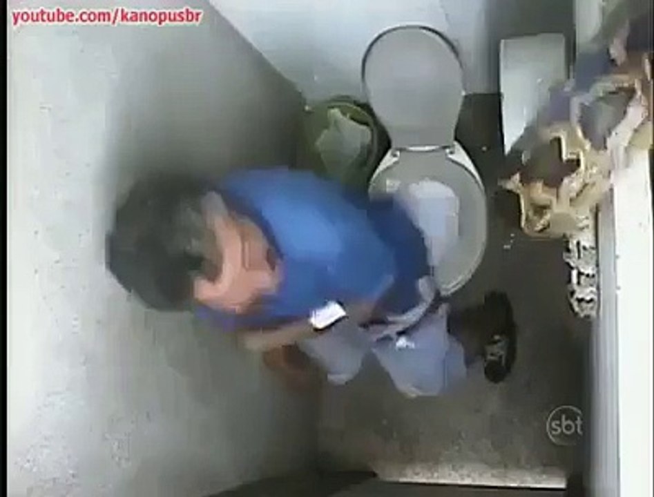 Snake in toilet