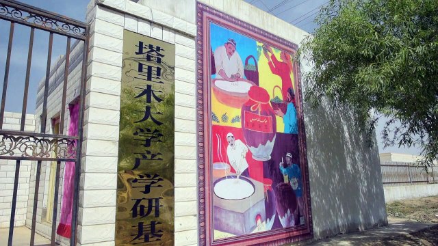 Xinjiang: un vin chinois produit par des musulmans Ouïghours