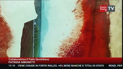 Un Giorno Speciale - Patrizia Simonetti (Collaboratrice Il Fatto Quotidiano) - 24 giugno 2015 - 12-15-40