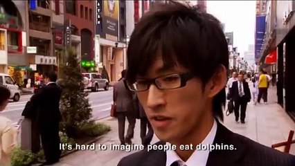 Dolphin Slaughter In Japan Weird Event