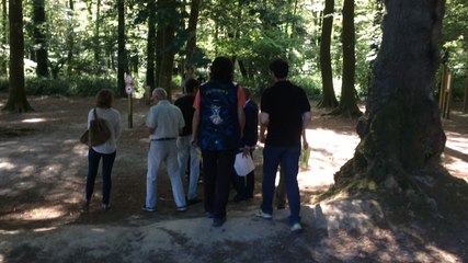 Nouvel espace d'orientation en forêt de Carnoët