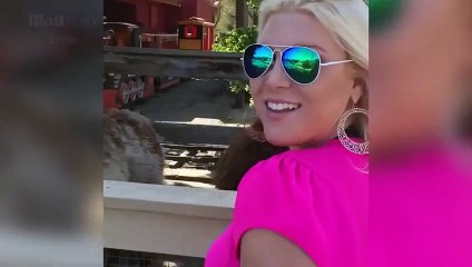 What Llama Did when a Woman tried Kiss Him ??