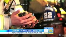 N.J. Firefighters Rescue Puppies From Fire
