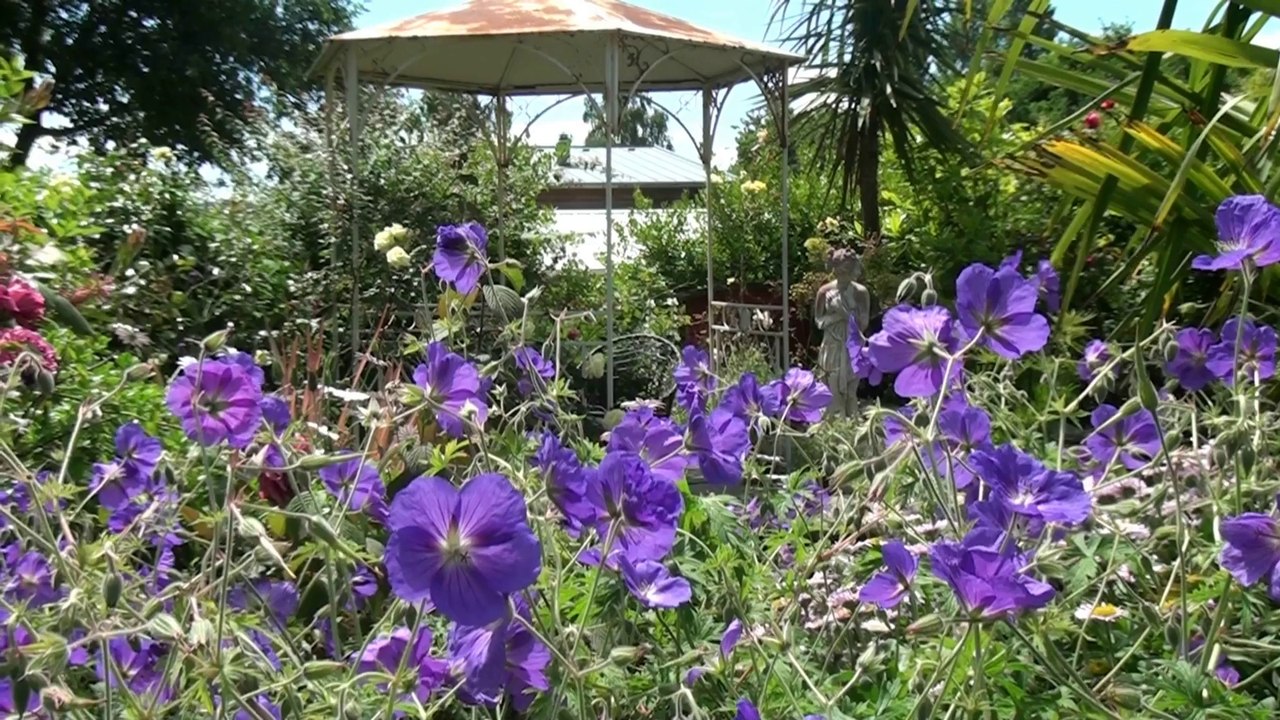 Jardin de Danyland. Un lieu d'émerveillement au cœur du Pays de Morlaix