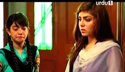 alvida Last Episode 20 Hum Tv Drama on Dramatiseonline.com 24 June 2015