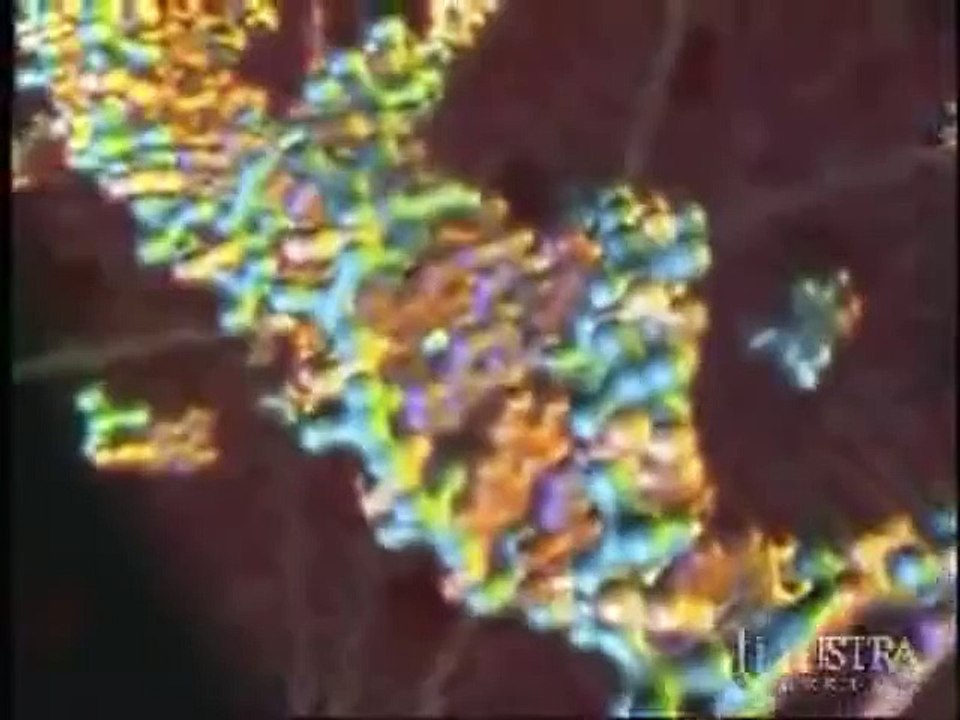 IT inside a Cell - DNA
