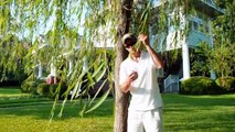 Weeping Willow Tree - A Fast Growing Shade Tree & Wildlife Tree Hangout