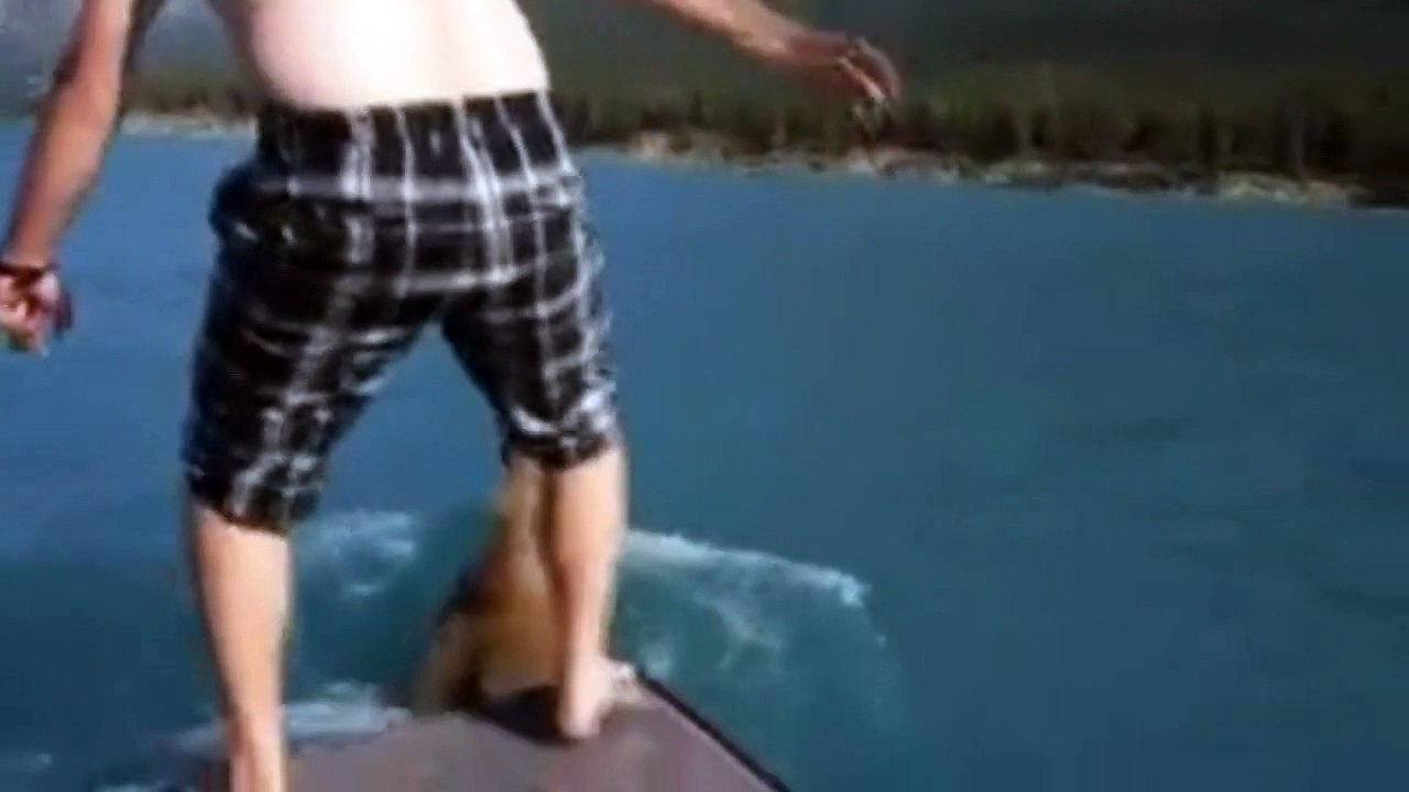 Man facing massive fine for riding moose