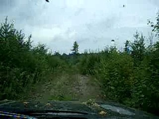 Northern Ontario Reforested Area