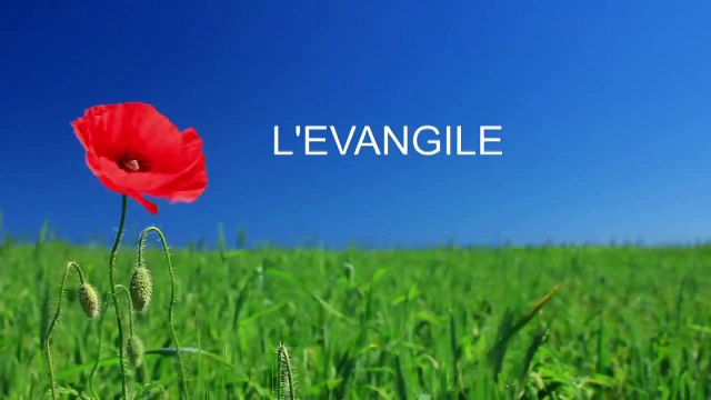 Église Évangélique Vie Nouvelle Télévision