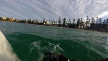 Big great white Shark does circles around surfer guy!
