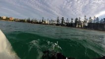 Un grand requin blanc tourne autour d'un surfeur