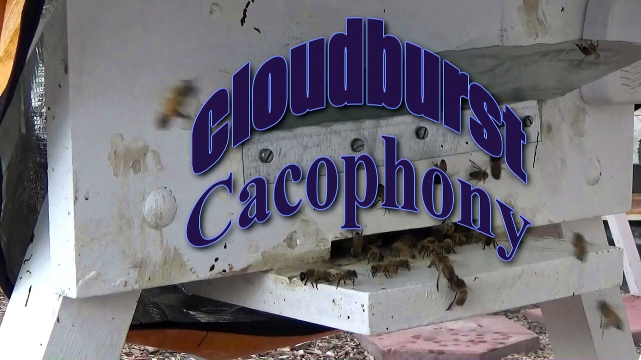 Cloudburst Cacophony