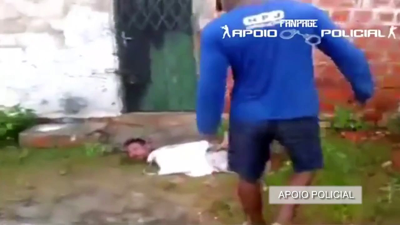 Dropped on anthill: Thief caught, tied up and fed to ants in Brazil