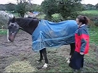 Gay, A Very Itchy Horse