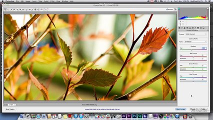 4k 5D Mark 2 Magic Lantern Raw Upscale Tutorial