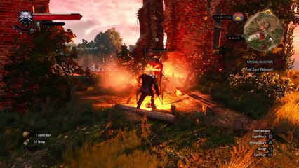 The Witcher 3: closer shave