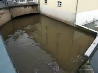 Hochwasser in Rotenburg a. d. Fulda am 26.02.2010 mit über 4,20 Metern - Teil 1