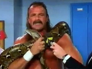 Jake Roberts Vs Bad News Brown