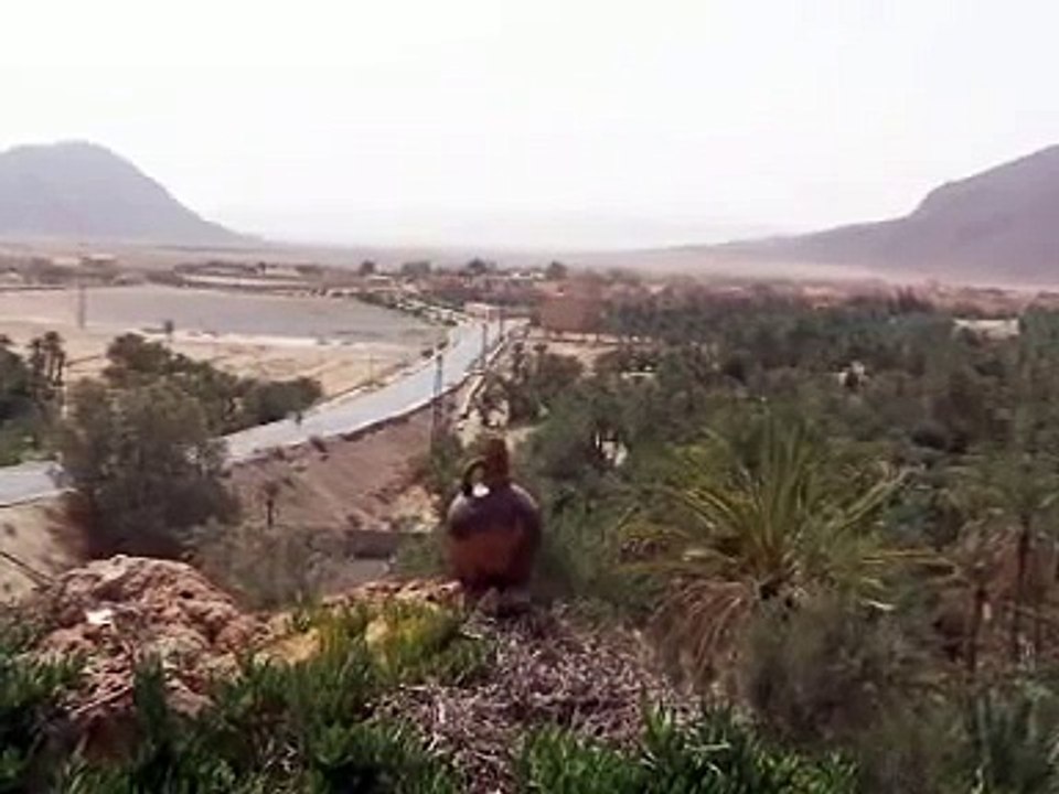 figuig Morocco