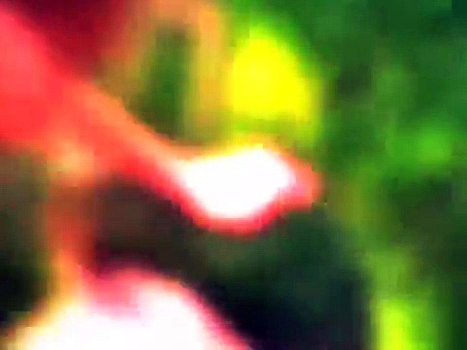 Spirit Fingers