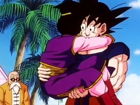 Goku Chi Chi Tribute - DBZ AMV
