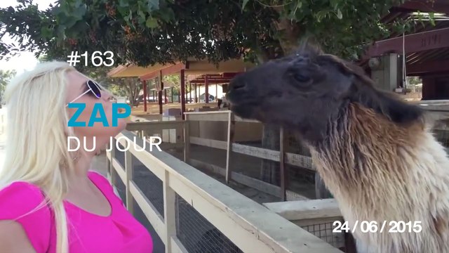 ZAP DU JOUR #163 : 8-bit MARIO - Générique Game of Thrones / Un zoom impressionnant ! / Longboard version side-car /