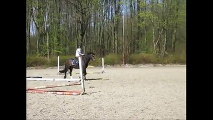 The day I lost my confidence with horse jumping.