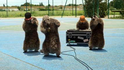 Bel été sur France 3 avec Les Marmottes Rap / été 2015