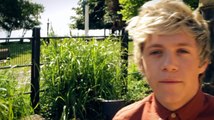 One Direction - Behind the scenes at the photoshoot - Niall