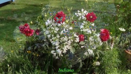 Jardin pour la paix Bitche 2015