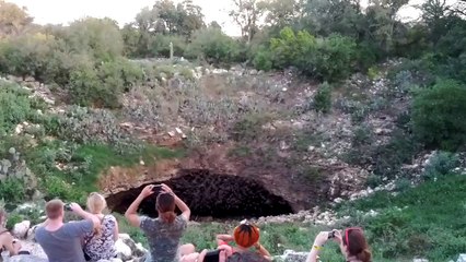 Bat Adventure 6 - Bats Bats Bats