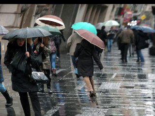 MUNGOS - Šetač (1981) Overview
