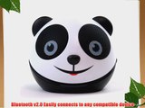 Zoo Tunes Panda Portable Bluetooth Speaker