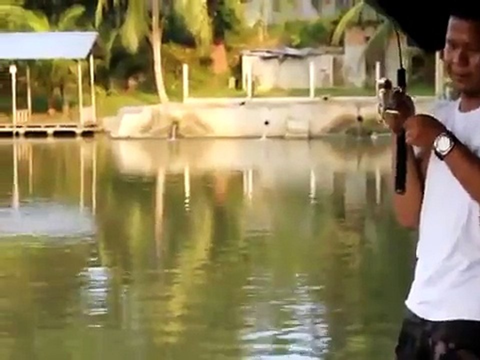 Mancing ikan bawal tawar