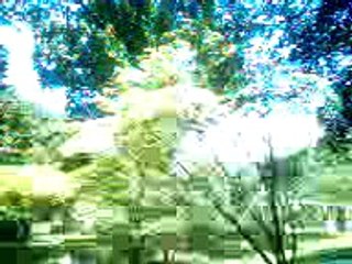 WO's anime spotlight: Tsubasa reservoir chronicle