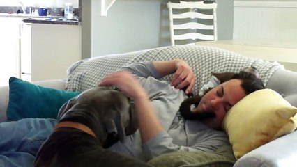 nala plays 'wheres the monkey' with our new dog