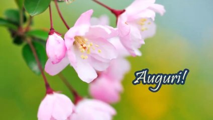 Tanti Auguri di Buon Compleanno!