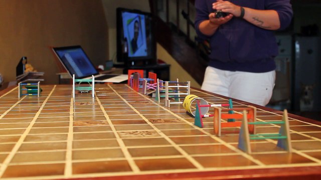 Agility Jack sparrow & Moustik