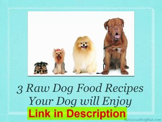 Delicious Dog Diet Review