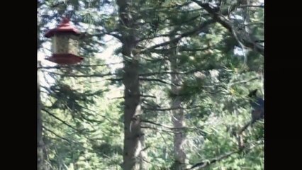 My Camping Trip